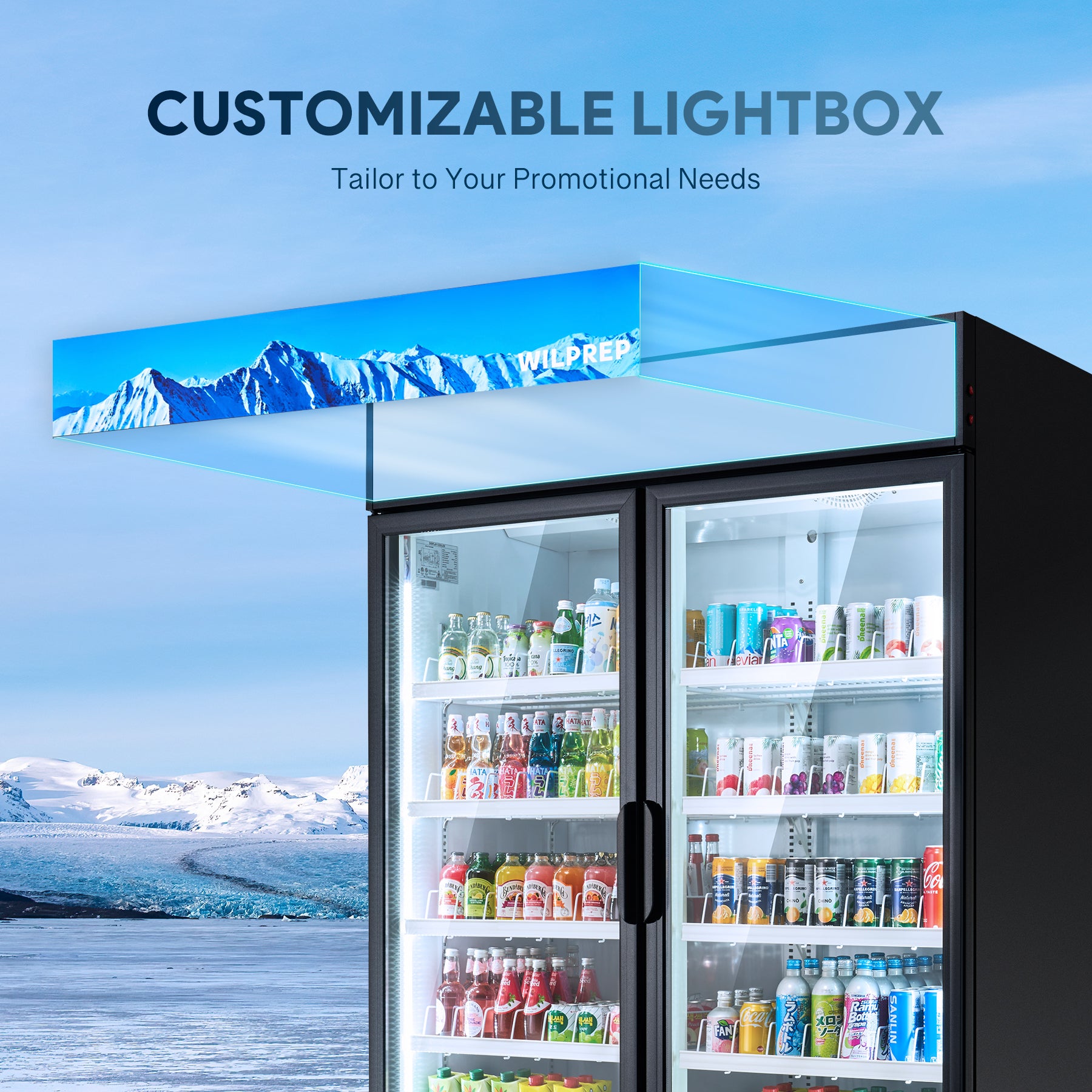 Wilprep 2 door commercial refrigerator light box