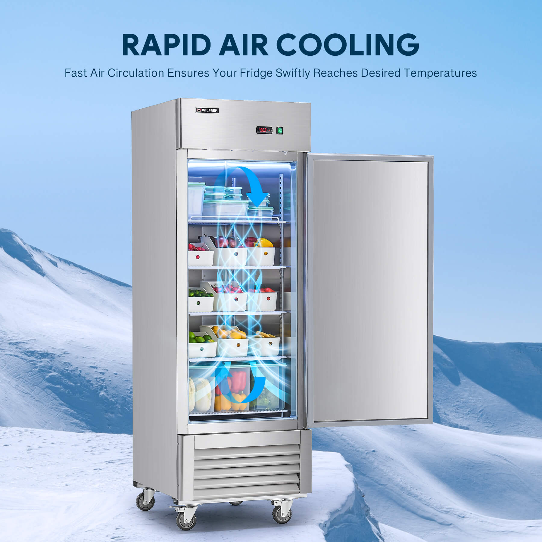 Upright Reach in Freezer