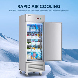 Upright Reach in Freezer