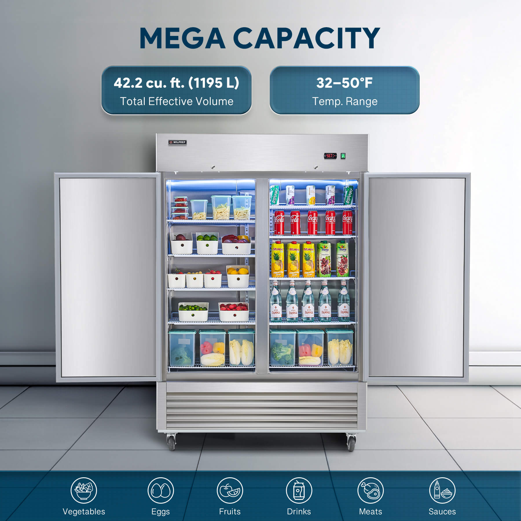 Double Door Reach in Freezer