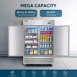 Double Door Reach in Freezer
