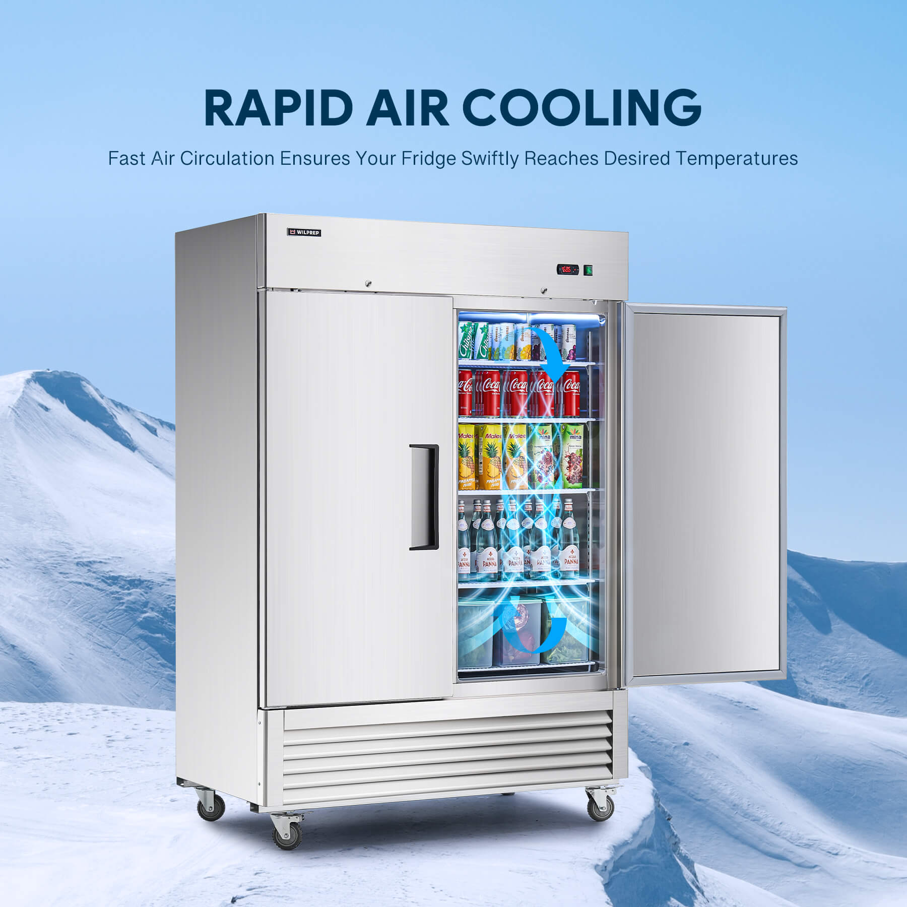 54'' Two Door Reach in Refrigerator
