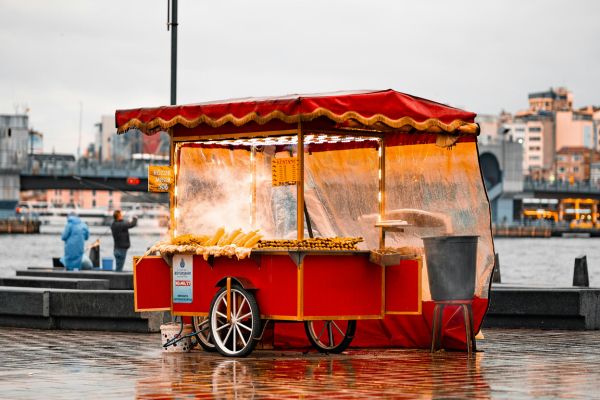 how to start a food cart