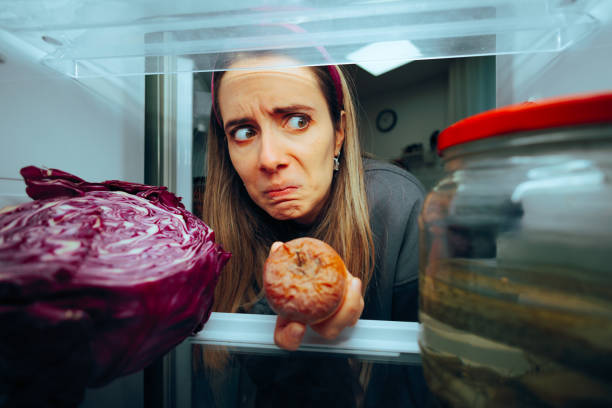 why is refrigerator making noise?