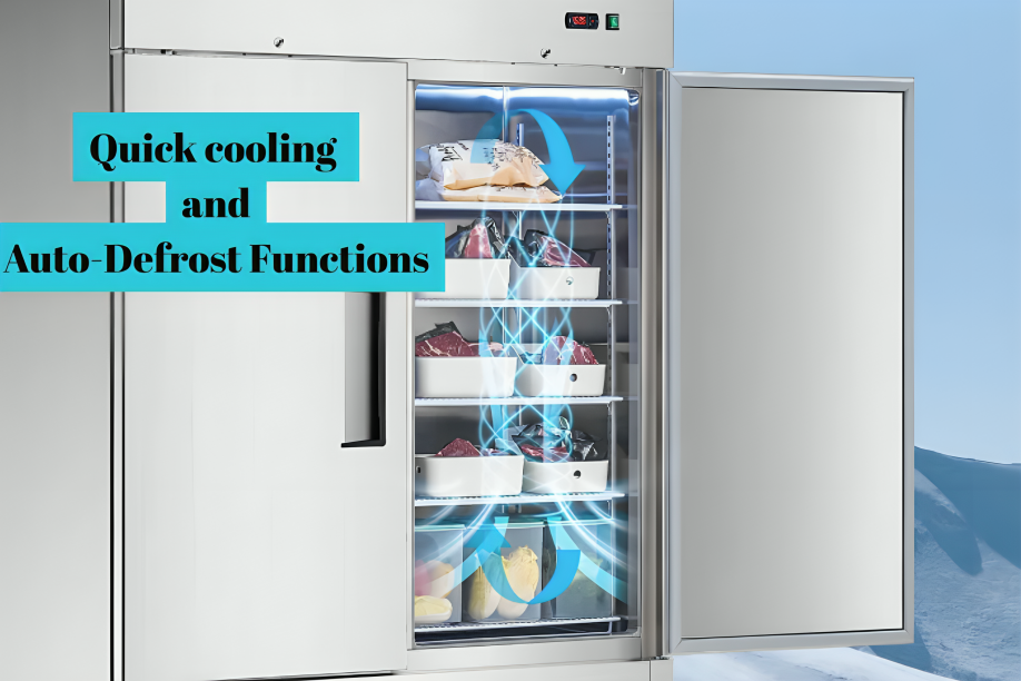 Best 2 Door Commercial Refrigerators Under $2,000