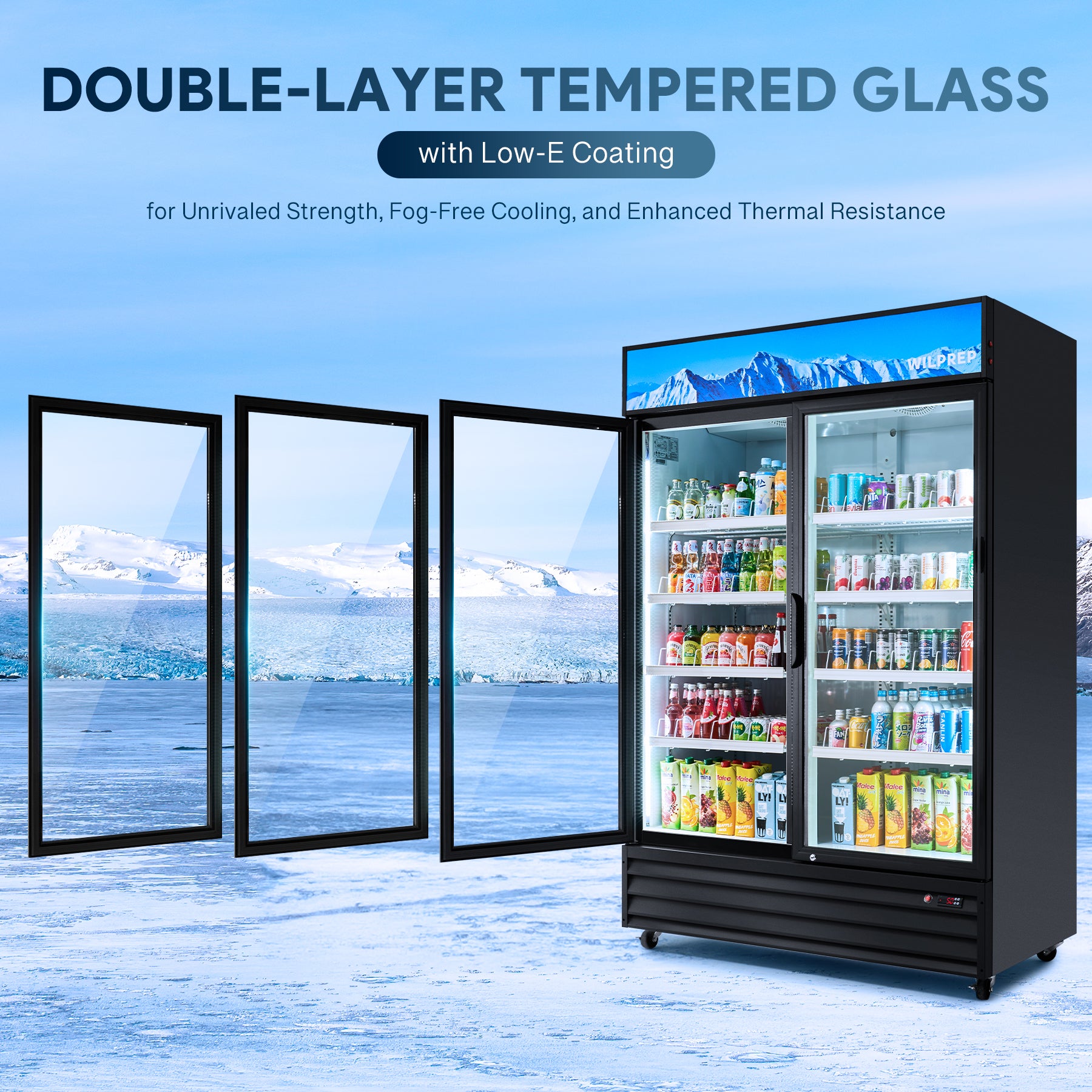 Wilprep 2 door commercial refrigerator with glass doors