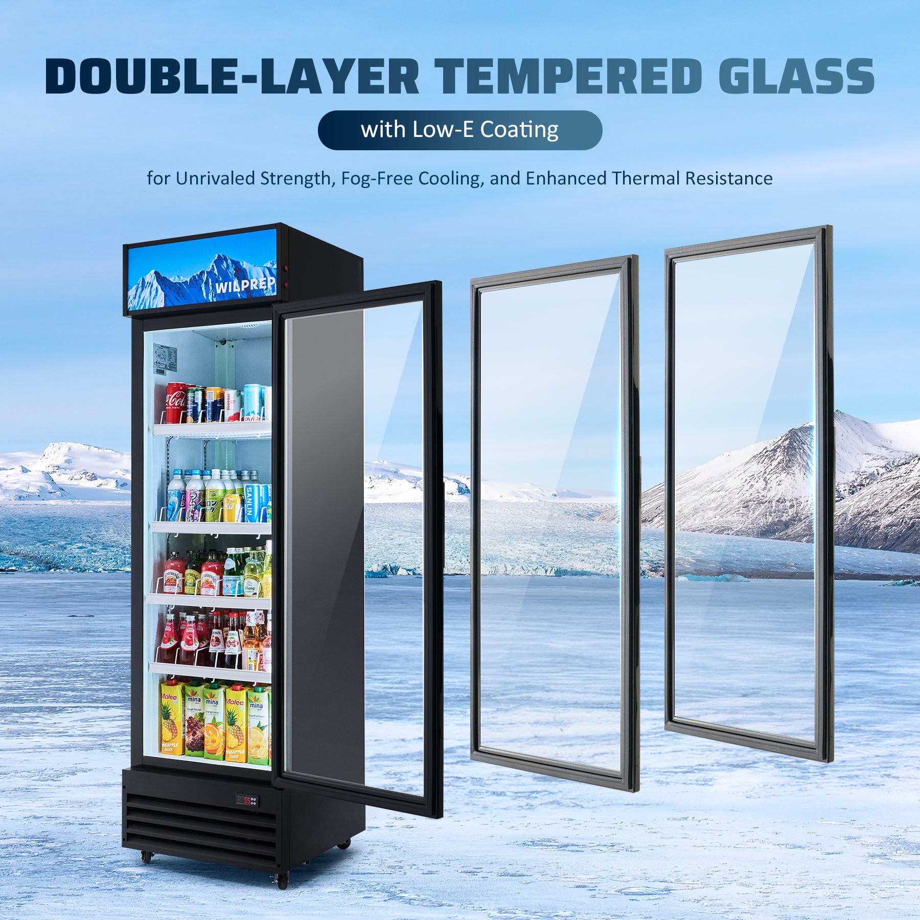 Wilprep single door commercial refrigerator with glass door