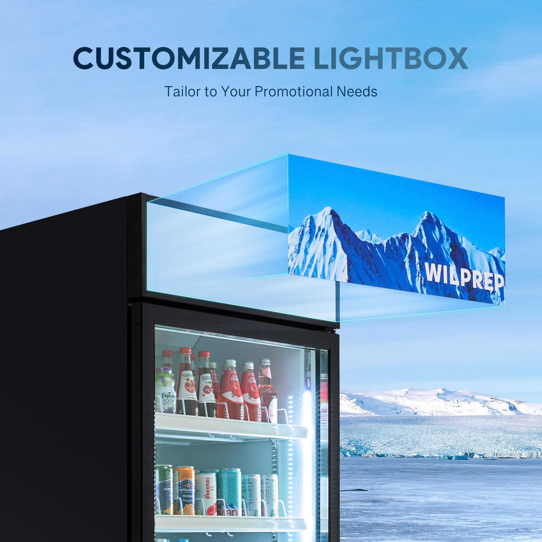 Wilprep 27.6 inch commercial glass door refrigerator lightbox