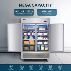 Commercial Freezer Reach in