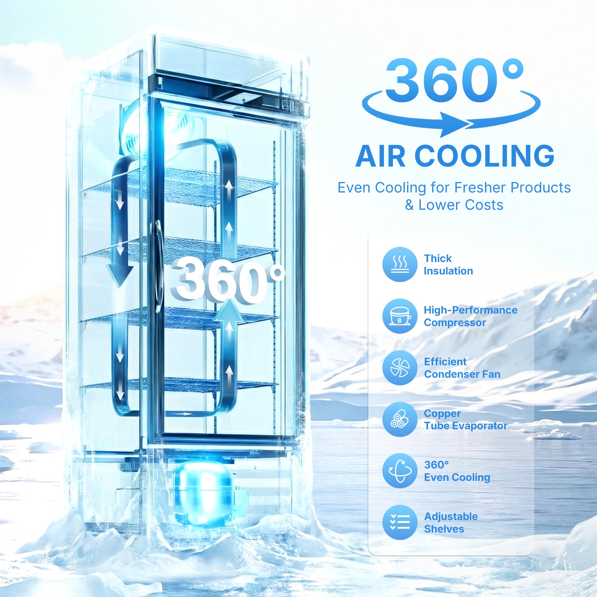 DOUBLE Glass Door Commercial DISPLAY Refrigerator