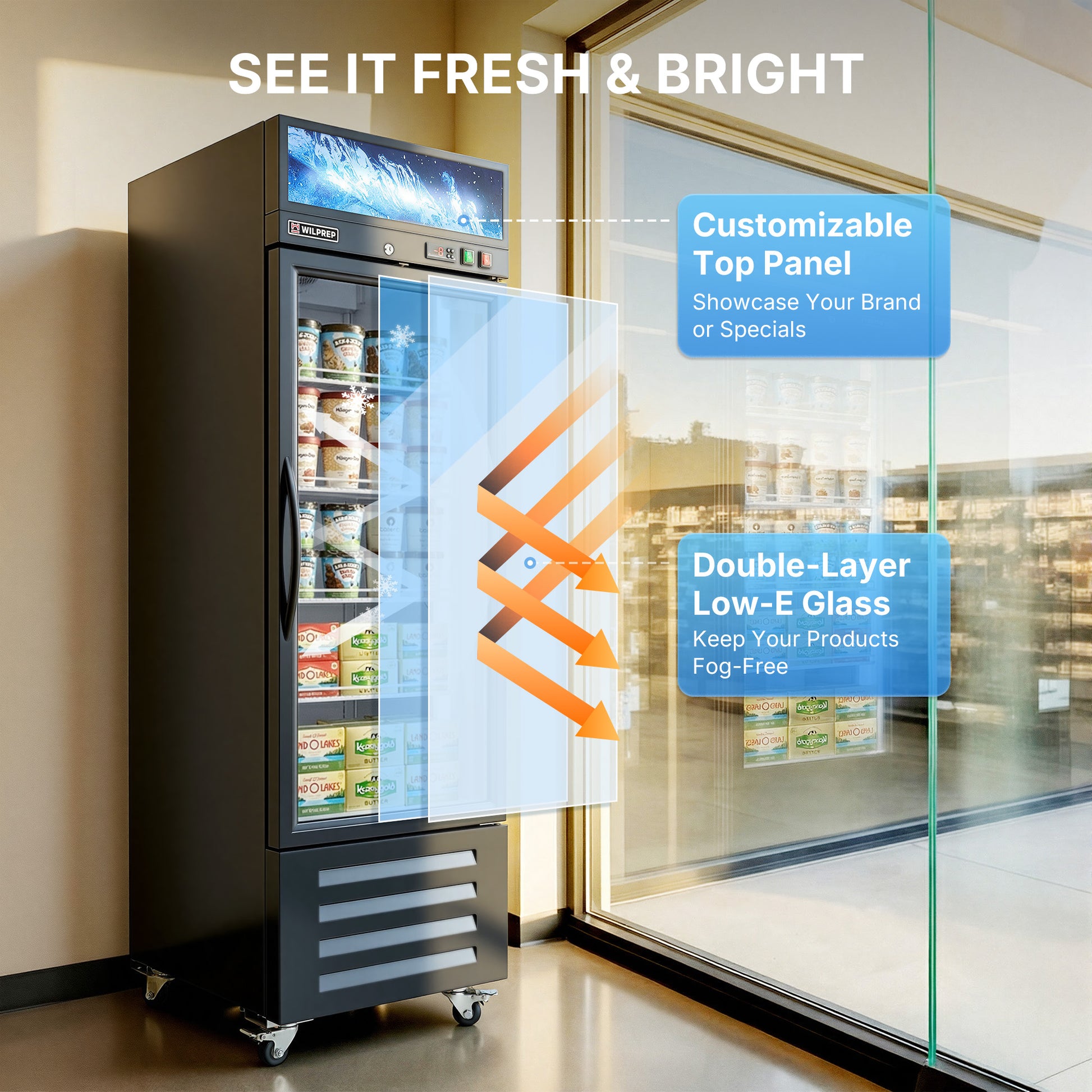 DOUBLE Glass Door Commercial DISPLAY Refrigerator