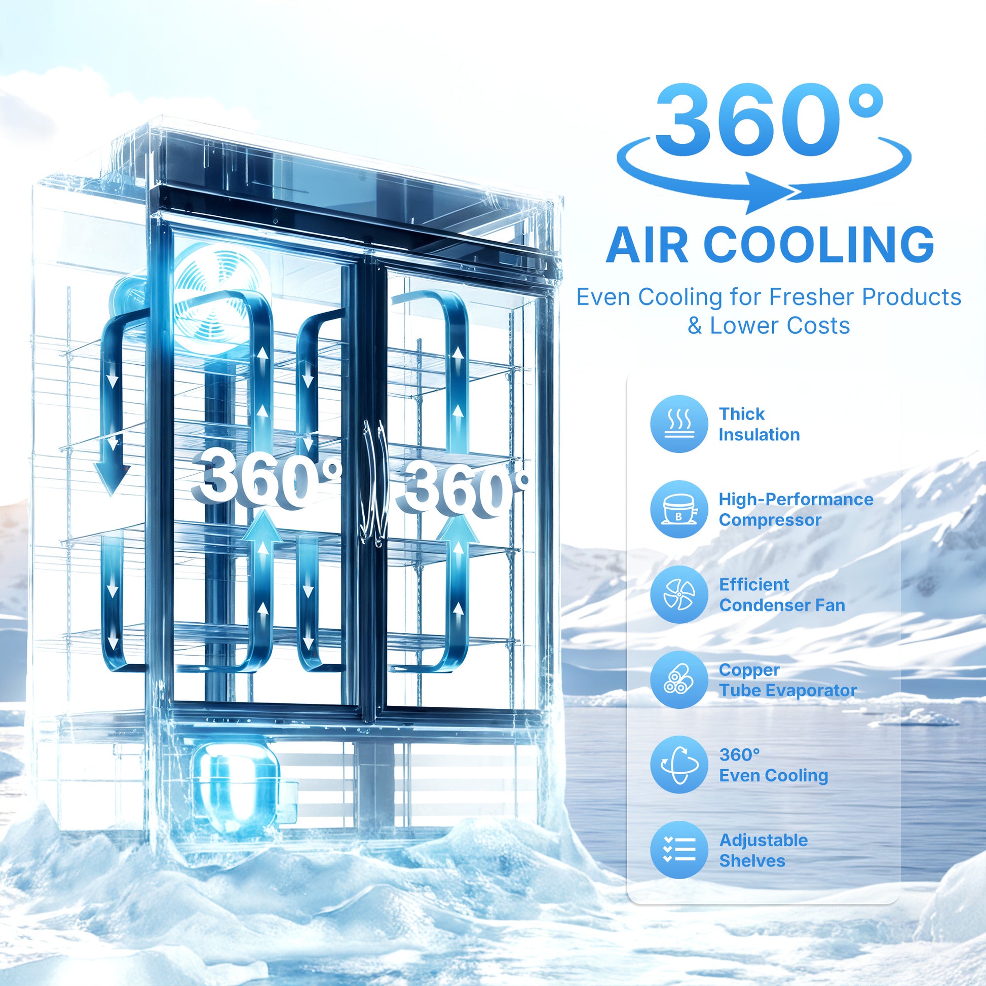 DOUBLE Glass Door Commercial DISPLAY Refrigerator
