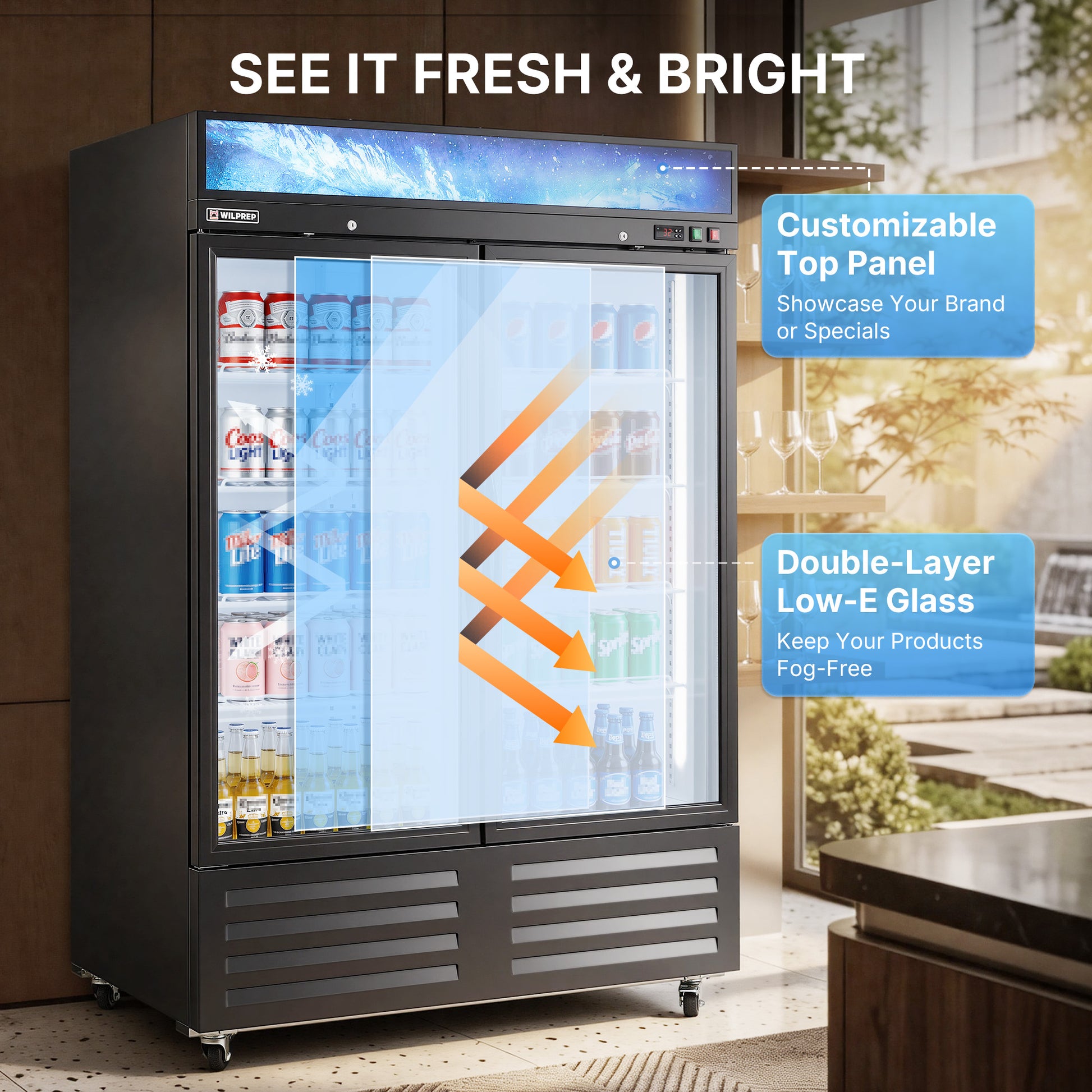 DOUBLE Glass Door Commercial DISPLAY Refrigerator