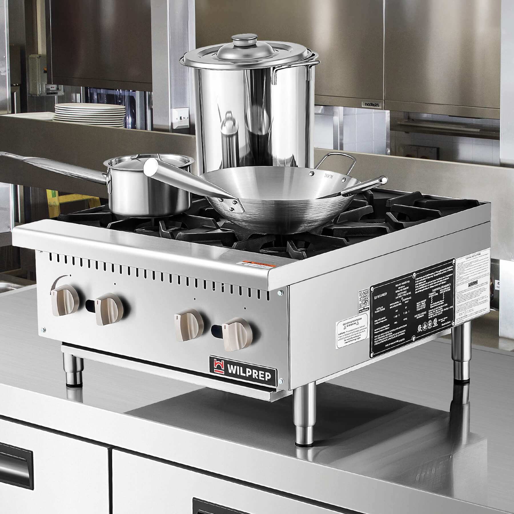 24" Propane Gas Range with Natural Gas Conversion Kit Grates
